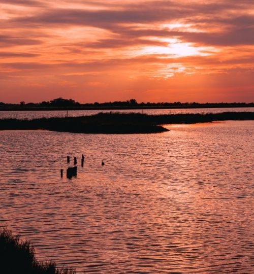 saline cervia